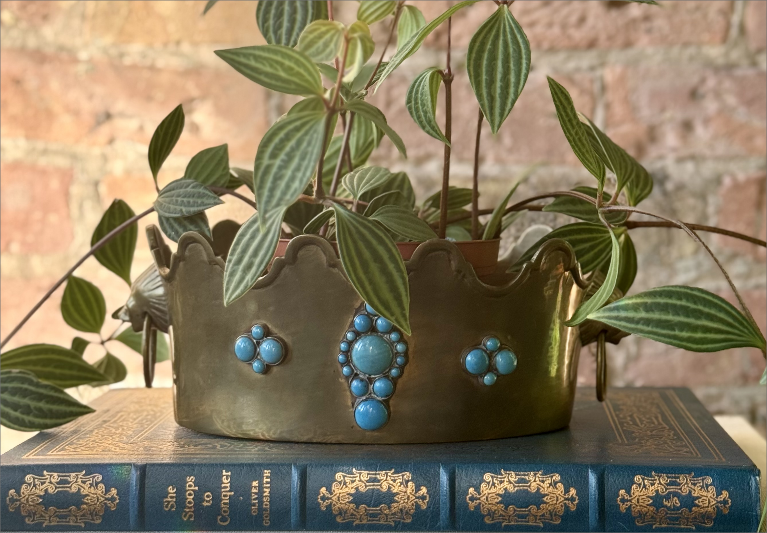Eleventh House antique candle vessel being repurposed as a plant holder