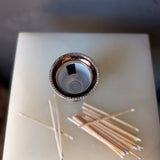 Silver Lion Match Holder