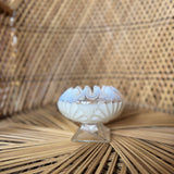 She-shells