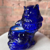 Cobalt Cat