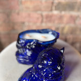 Cobalt Cat